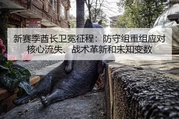 xin-sai-ji-qiu-zhang-wei-mian-zheng-cheng-fang-shou-zu-chong-zu-ying-dui-he-xin-liu-shi-zhan-shu-ge-xin-he-wei-zhi-bian-3-401.jpg